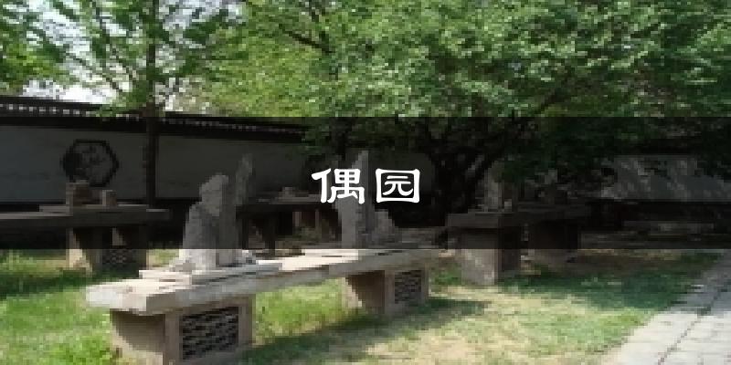 偶园天气预报十五天