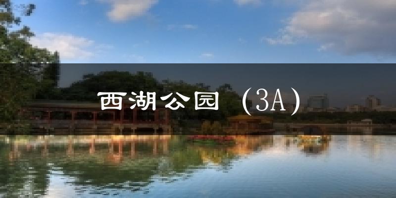 西湖公园(3A)天气预报十五天