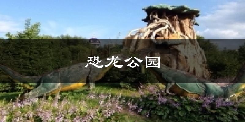 恐龙公园天气预报十五天