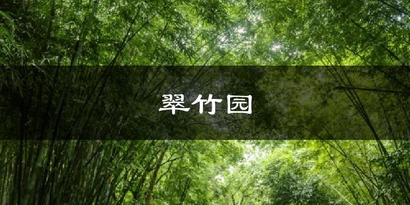 翠竹园天气预报十五天