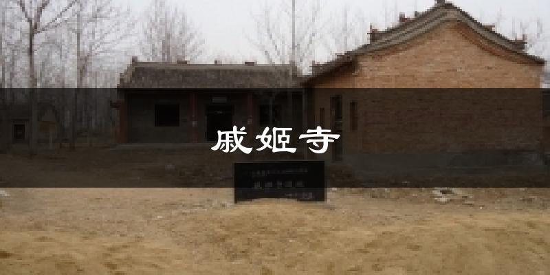 戚姬寺天气预报十五天