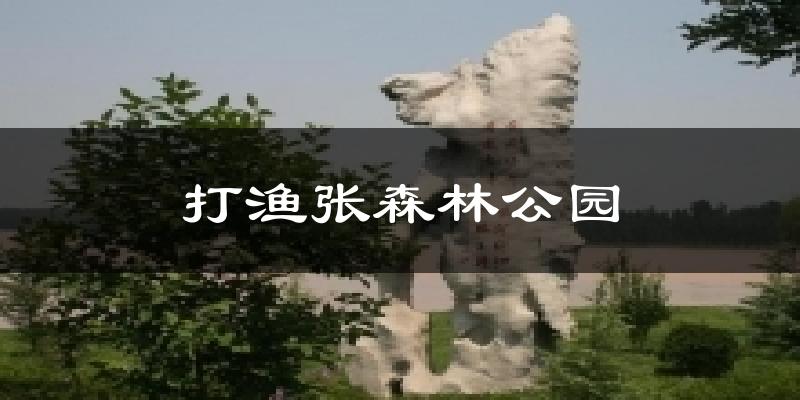 打渔张森林公园天气预报十五天