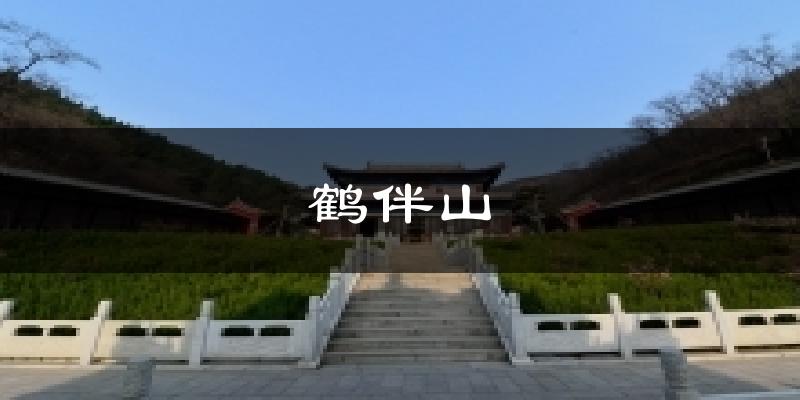 鹤伴山天气预报十五天