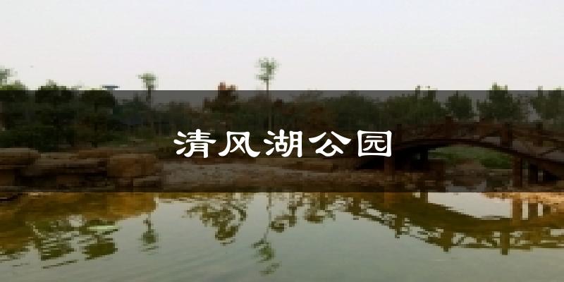 清风湖公园天气预报十五天