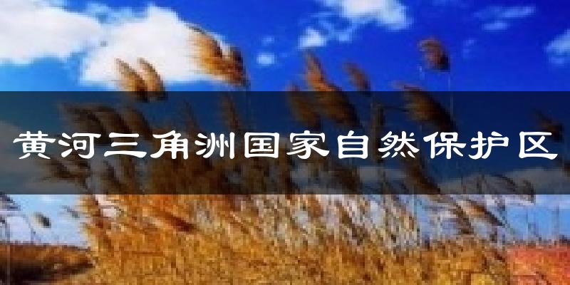 黄河三角洲国家自然保护区天气预报十五天
