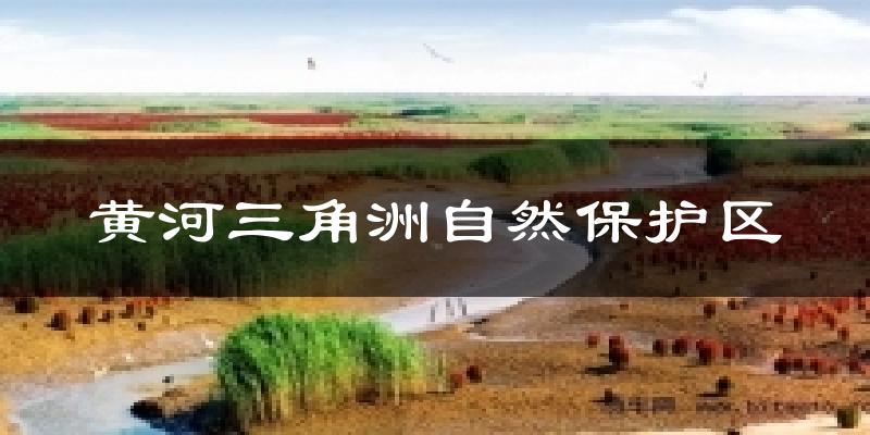 黄河三角洲自然保护区天气预报十五天