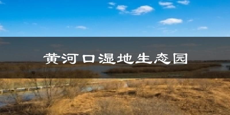 黄河口湿地生态园天气预报十五天