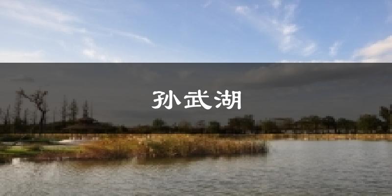 孙武湖天气预报十五天