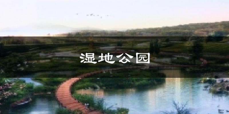 湿地公园天气预报十五天