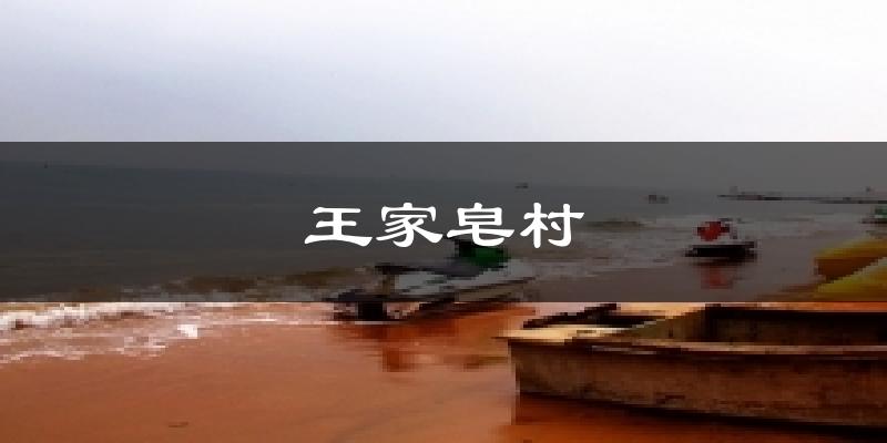 王家皂村天气预报十五天
