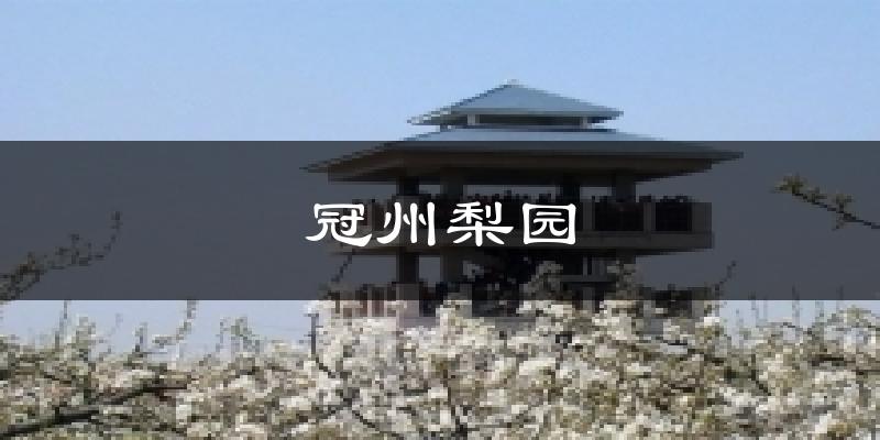 冠州梨园天气预报十五天