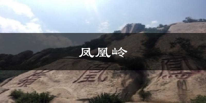 凤凰岭天气预报十五天