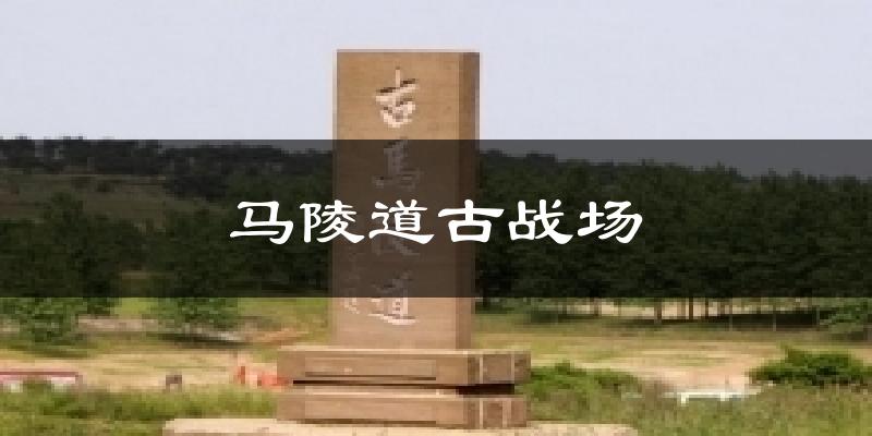 马陵道古战场天气预报十五天