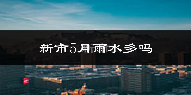 新市5月雨水多吗?