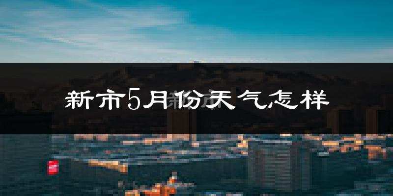 新市5月份天气怎样?新市五月冷吗?