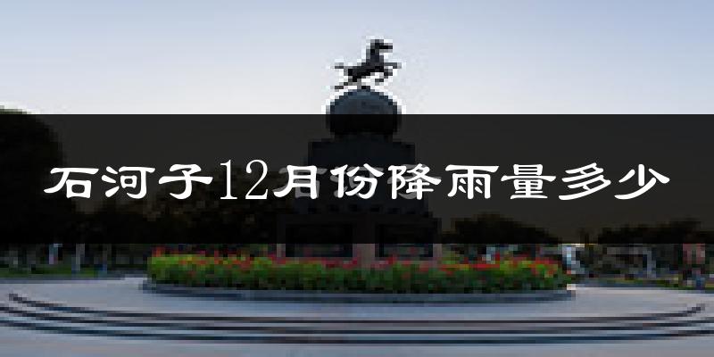 石河子12月份降雨量多少?石河子十二月下雨多吗?