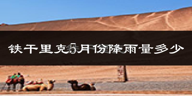 铁干里克5月份降雨量多少?铁干里克五月下雨多吗?