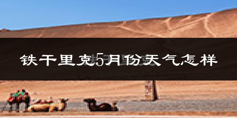 铁干里克5月份天气如何?很热吗?