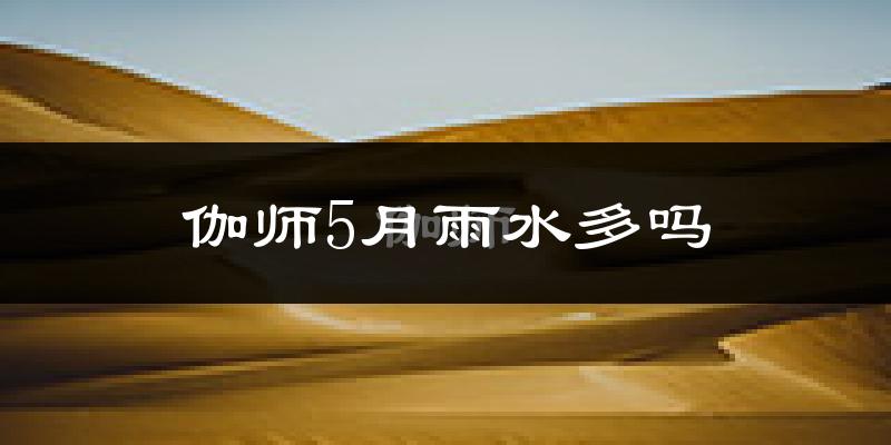 伽师5月雨水多吗?