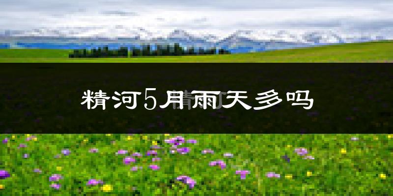 精河5月雨天多吗?