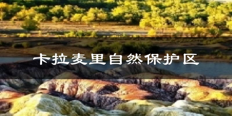 卡拉麦里自然保护区天气预报十五天