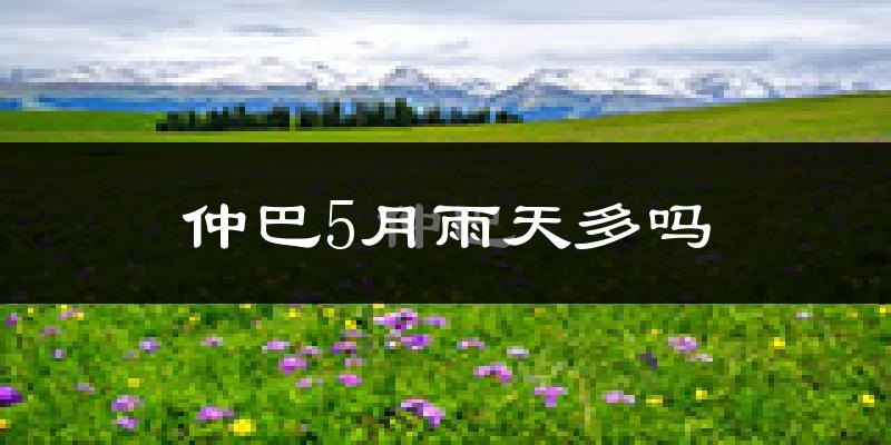 仲巴5月雨天多吗?