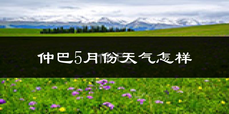 西藏仲巴县5月份天气如何?很冷吗?