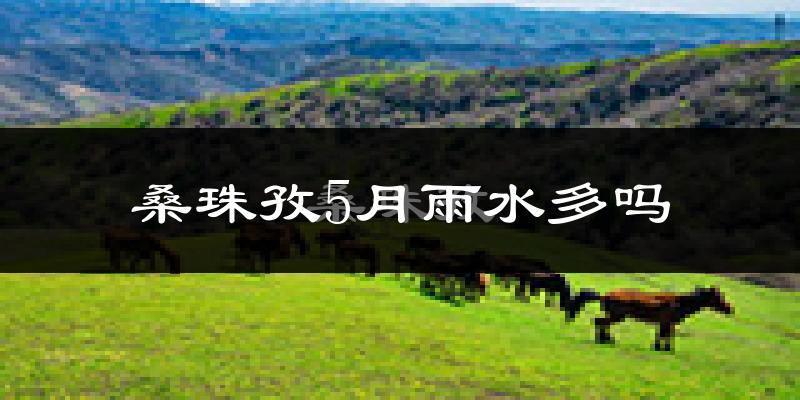 桑珠孜5月雨水多吗?