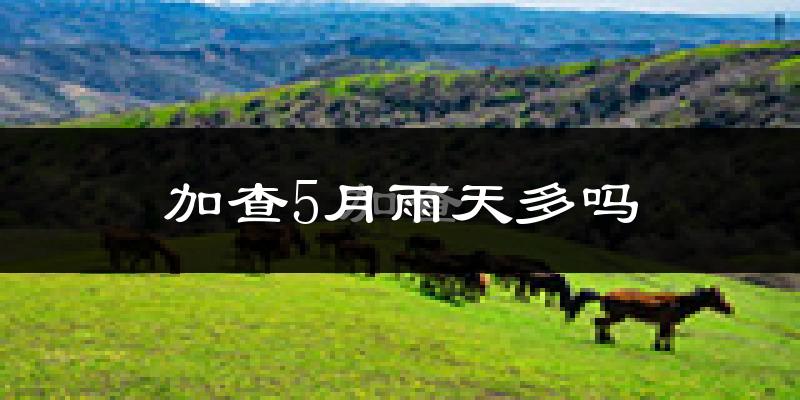 加查5月雨天多吗?