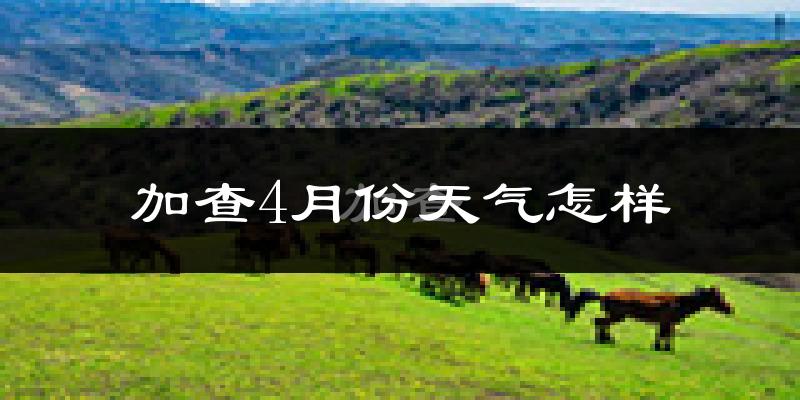 加查县4月份天气如何?冷吗?