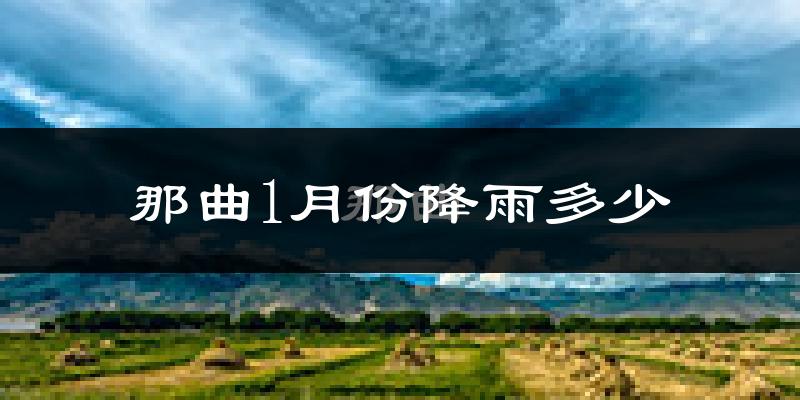 那曲1月份降雨多少?