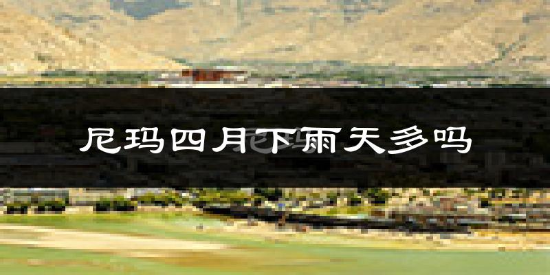 尼玛四月下雨天多吗?尼玛4月份降雨量多少?