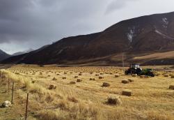 聂荣今日天气