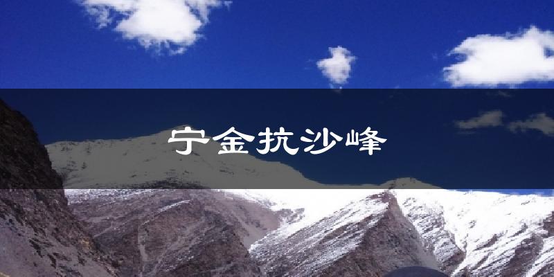 宁金抗沙峰天气预报十五天