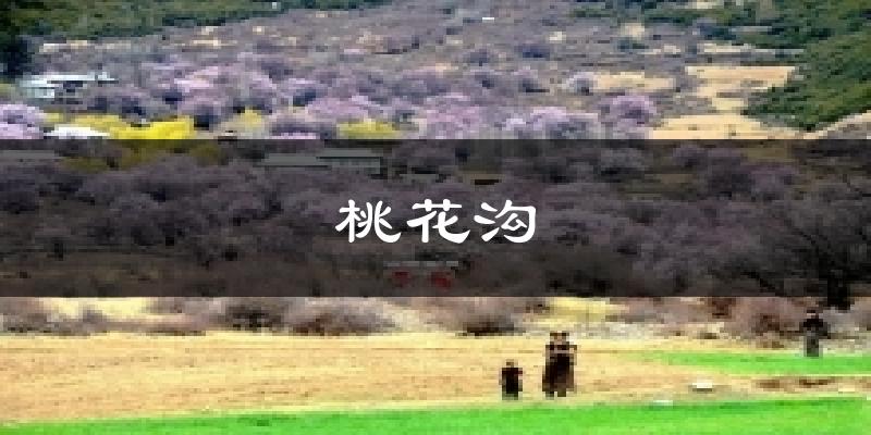 桃花沟天气预报十五天