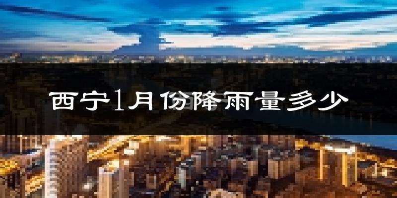 西宁1月份降雨量多少?西宁一月下雨多吗?
