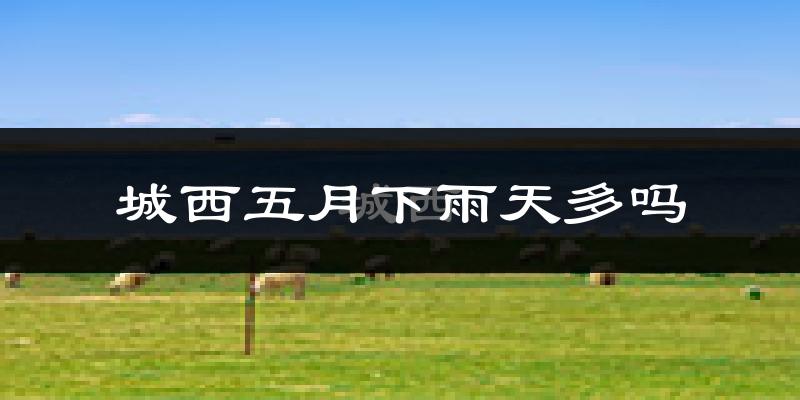 城西五月下雨天多吗?城西5月份降雨量多少?