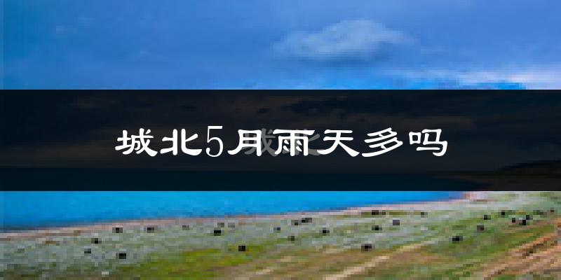 城北5月雨天多吗?