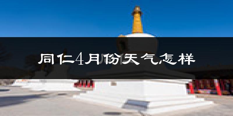同仁县4月份天气如何?冷吗?