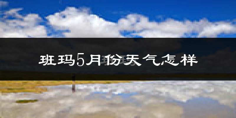 青海班玛县5月份天气如何?很冷吗?