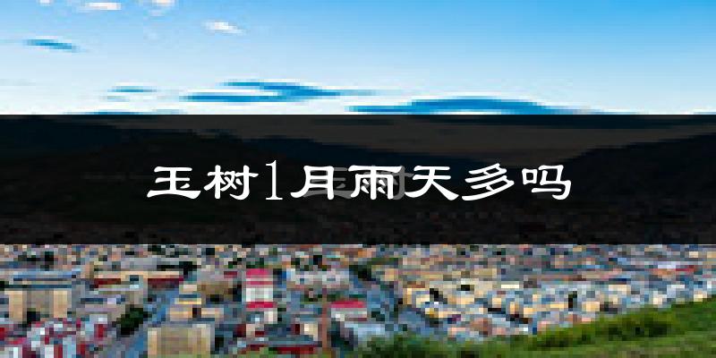玉树1月雨天多吗?