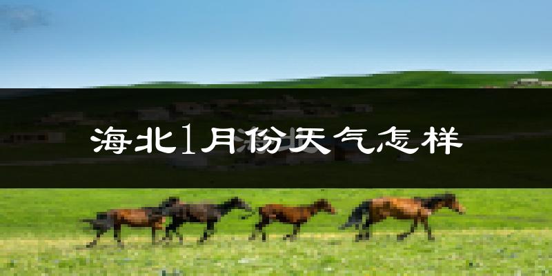 海北藏族自治州1月份天气如何?很冷吗?