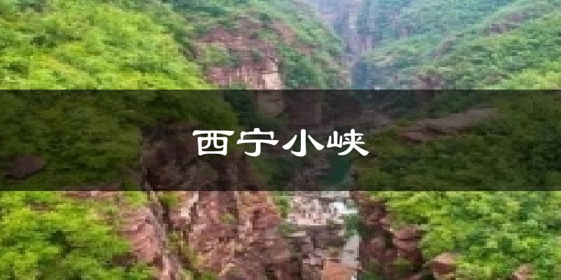 西宁小峡天气预报十五天