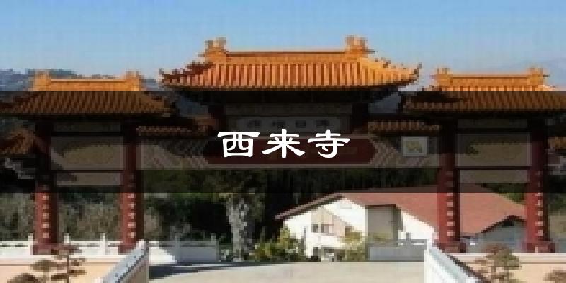 西来寺天气预报十五天