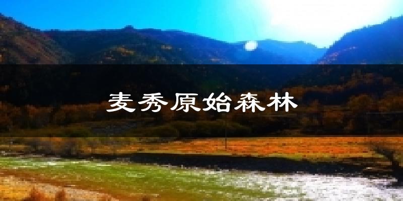 麦秀原始森林天气预报十五天