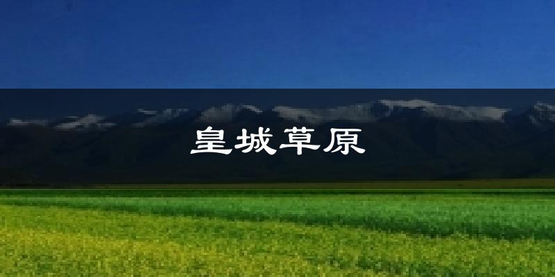 皇城草原天气预报十五天