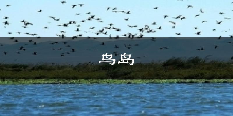 鸟岛天气预报十五天