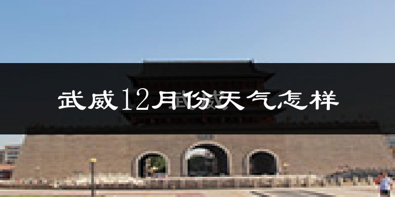 武威12月份天气怎样?武威十二月冷不冷?