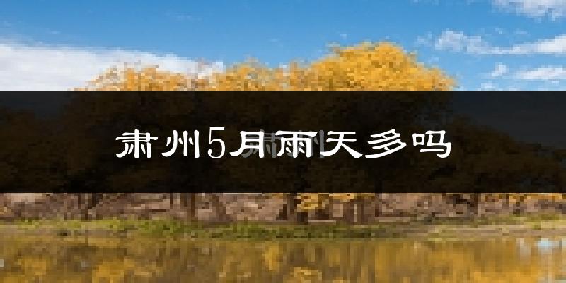 肃州5月雨天多吗?