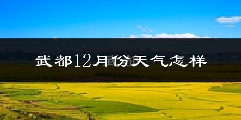 武都12月份天气怎样?武都十二月冷吗?